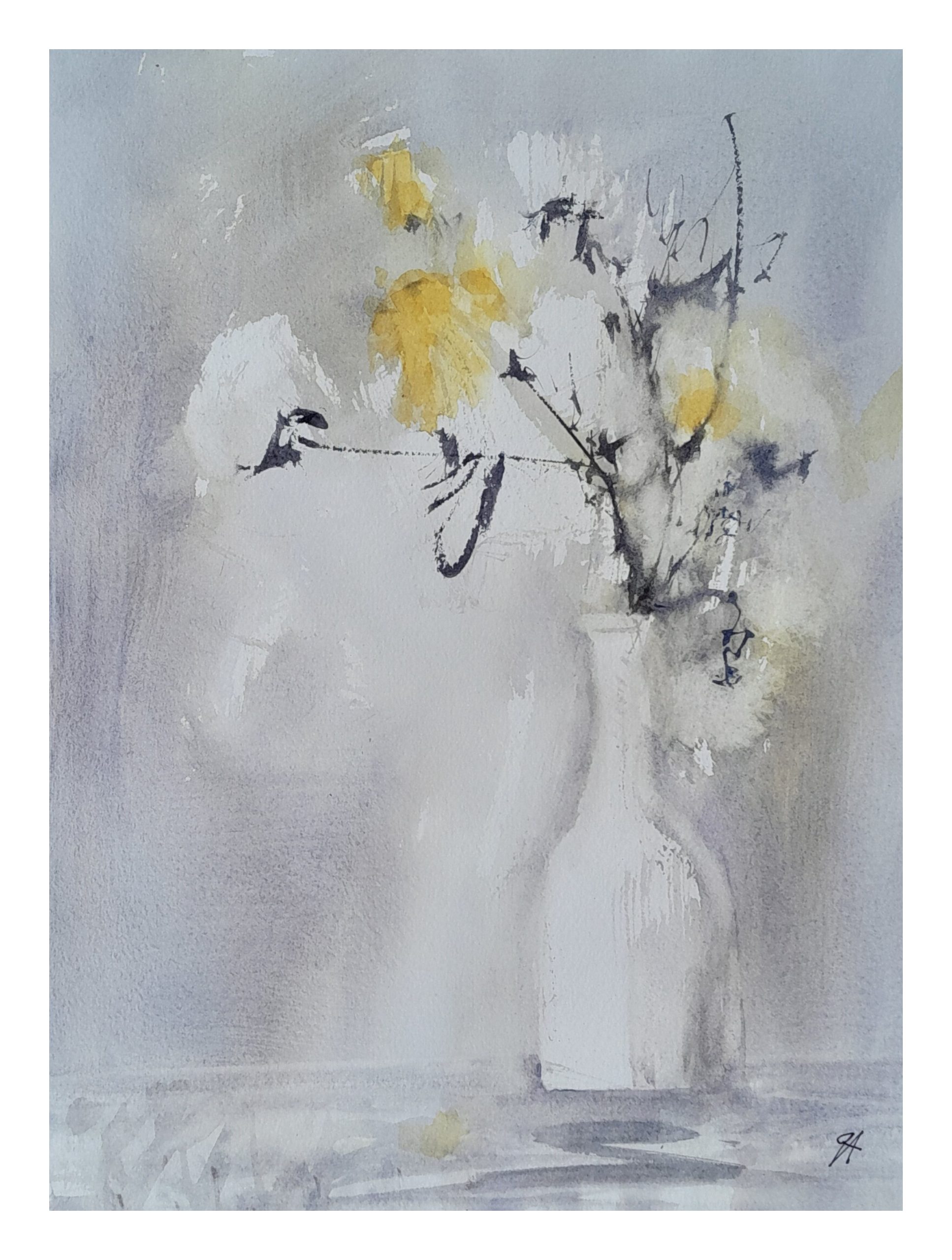 primrose flowers in vase